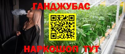 тгк Партизанск