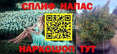 тгк Партизанск