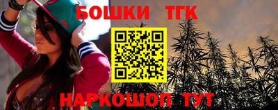 тгк Партизанск