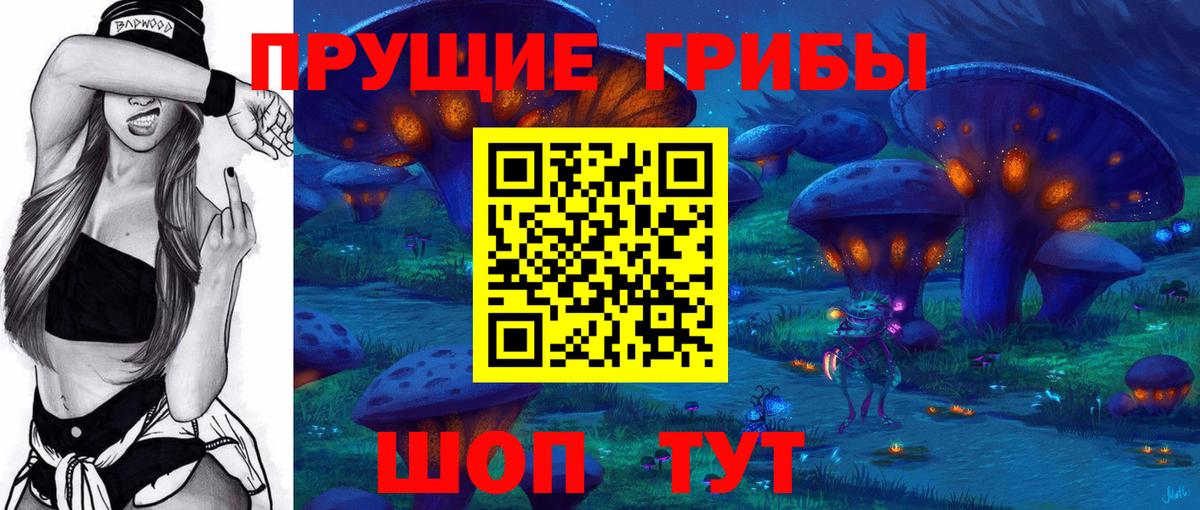 Галлюциногенные грибы GOLDEN TEACHER Новошахтинск